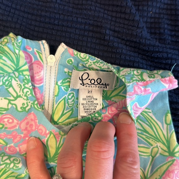 2T Lily Pulitzer dress flamingo dress - Picture 2 of 3